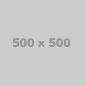 500X500 1 300x300 - 500X500